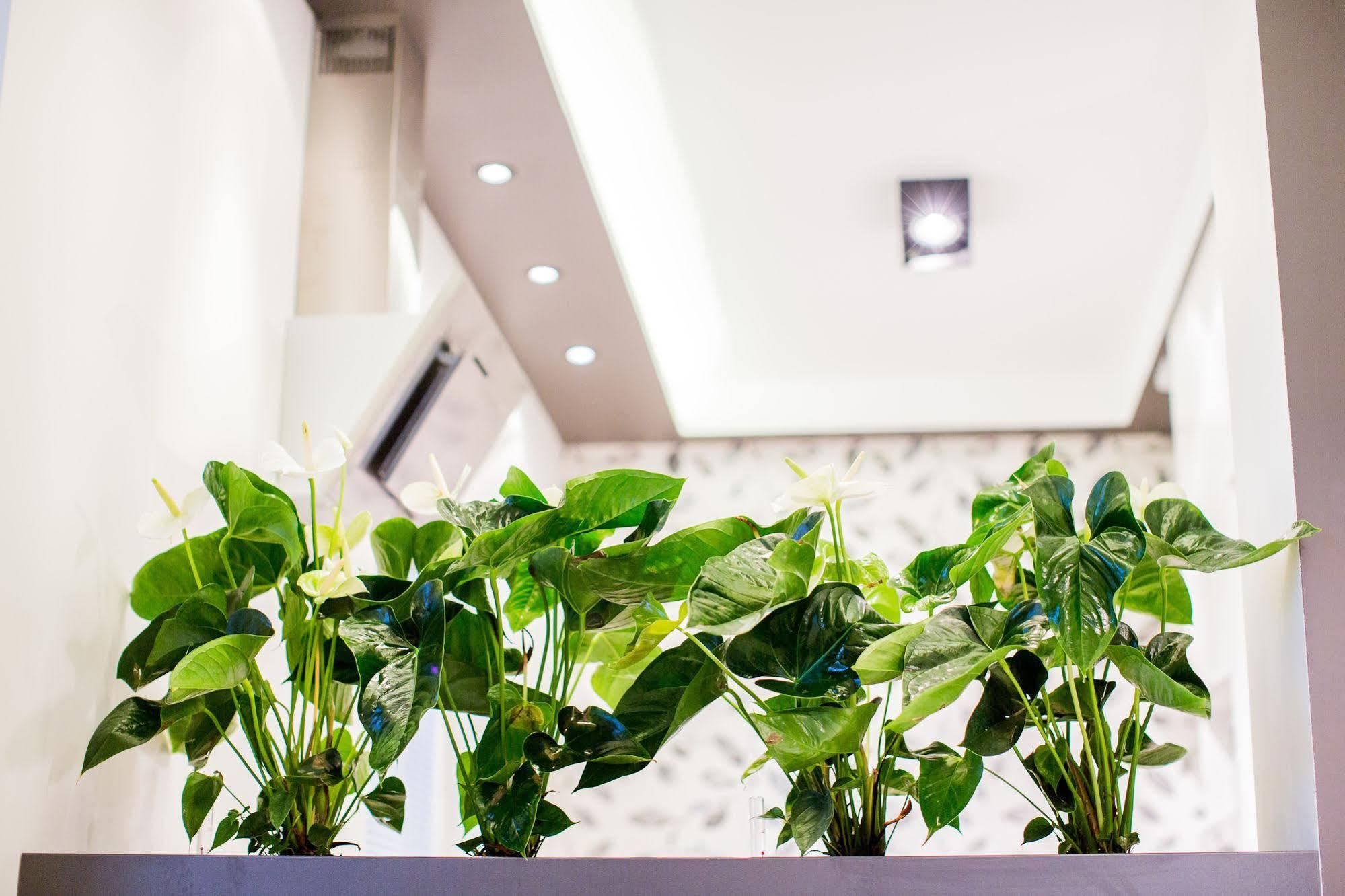 Mojito Apartments - Botanica Wrocław Eksteriør bilde